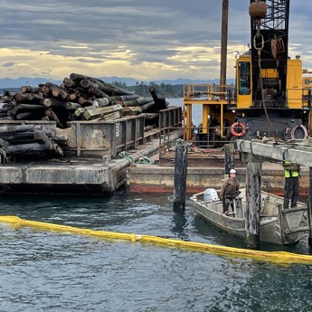Pulling Pilings, Preventing Pollution
